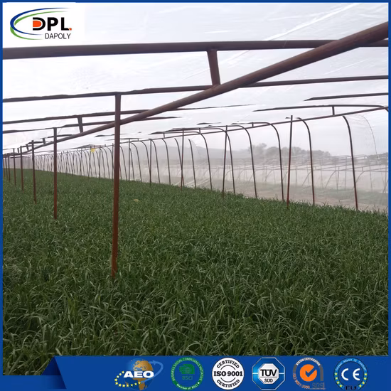 HDPE-Verpackungsbeutel, Monofilament-Röhrennetz-Netzbeutel für Zwiebeln, Obst und Gemüse